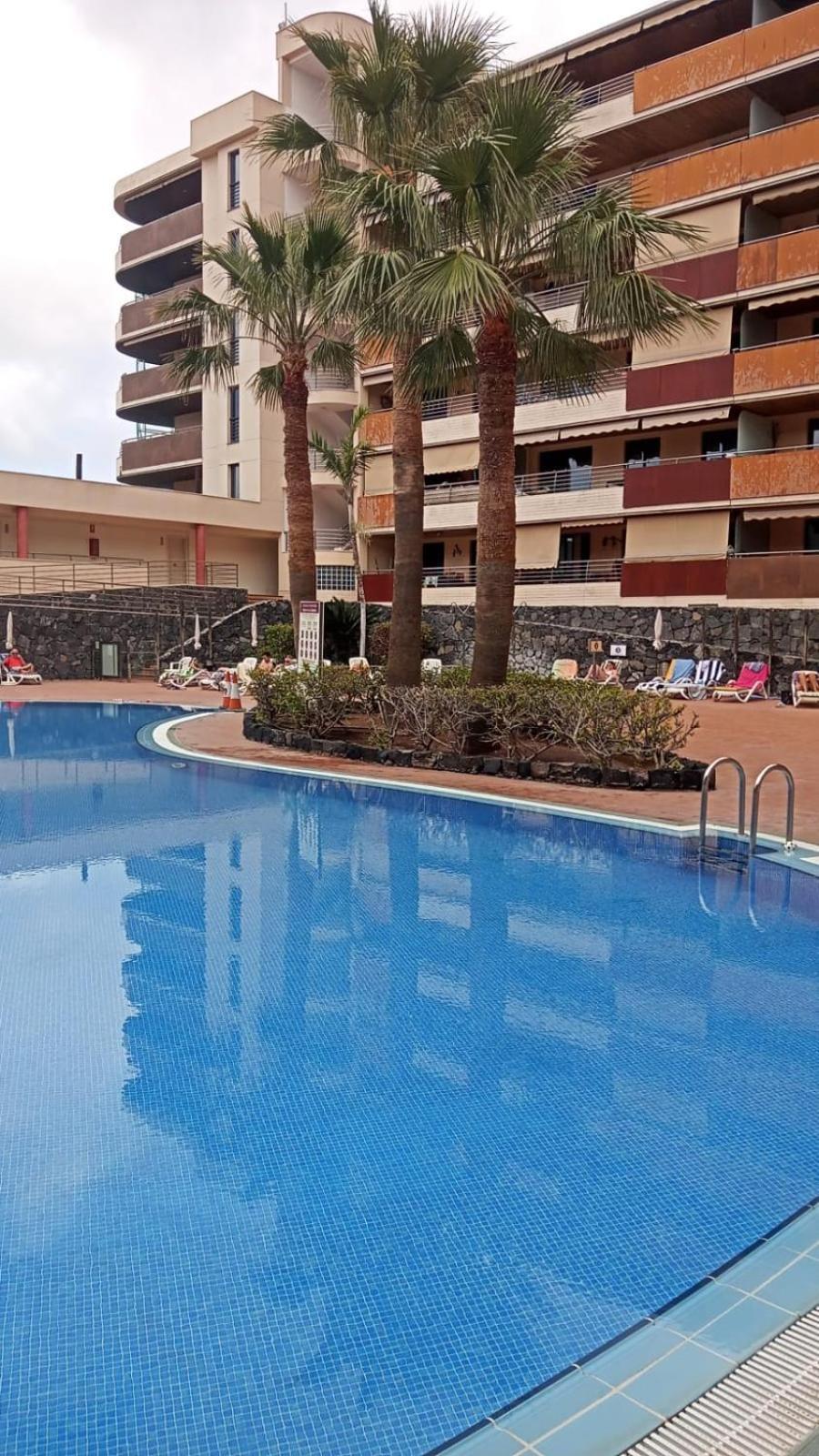 Vistas De Los Gigantes Apartamento 2 Dormitorios Puerto de Santiago  Exteriör bild